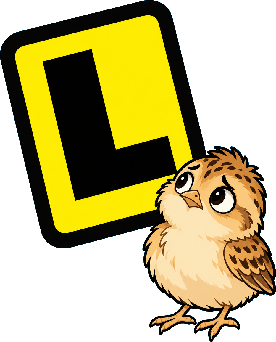 Reality Chick stands slightly hunched beneath the tilted learner plate, tiny tan feet planted and wide dark eyes fixed on the L.